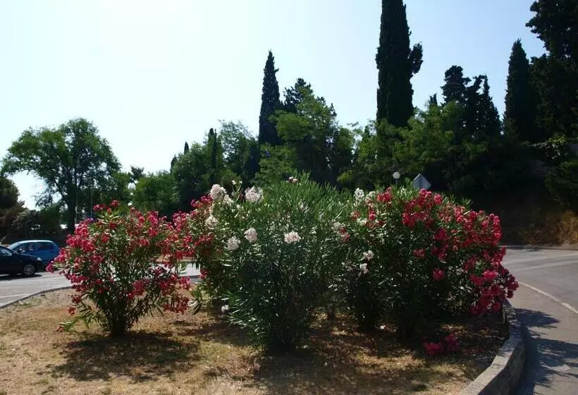 Fotos del hotel Jadran:  16