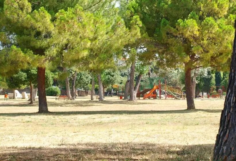 Fotos del hotel Jadran:  5