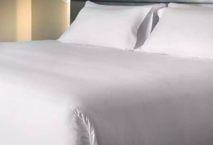 Fotos del hotel Nh Mendoza Cordillera:  25