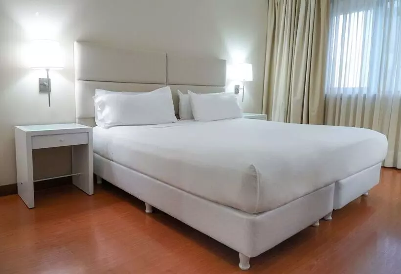 Fotos del hotel Nh Mendoza Cordillera:  2