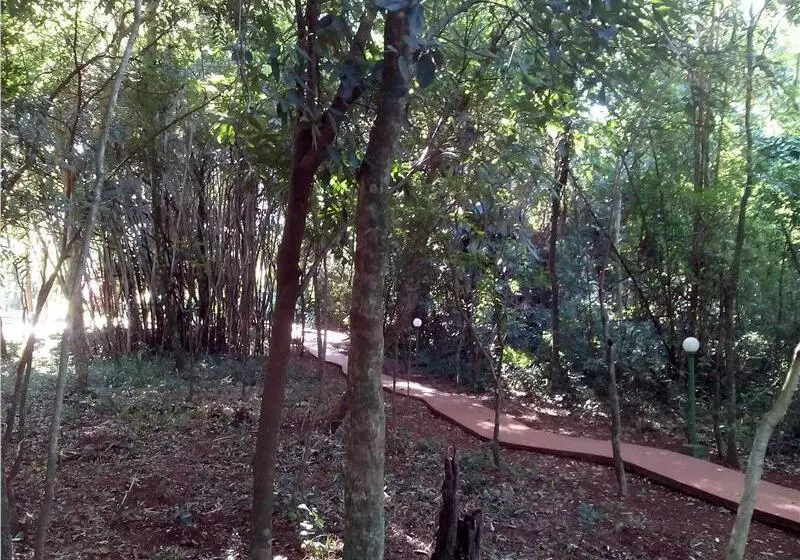 Fotos del hotel Suíça  & Resort:  21