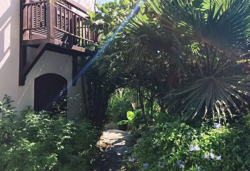 Fotos del hotel Ece  Bodrum:  12