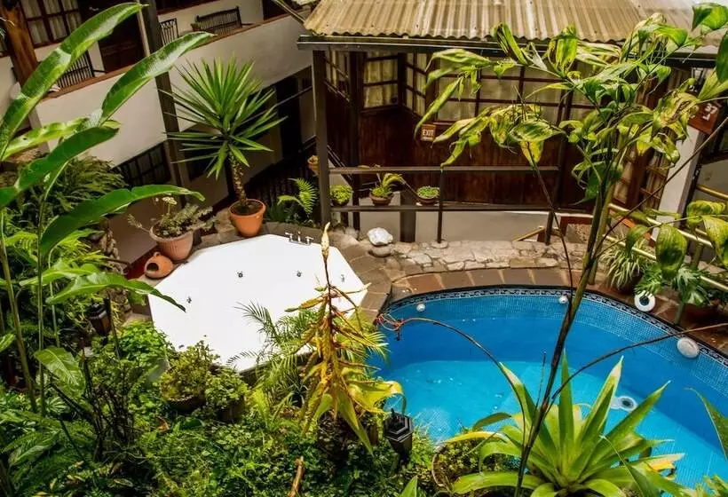 Fotos del hotel Gringo Bill S Boutique:  9