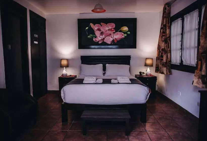 Fotos del hotel Gringo Bill S Boutique:  21