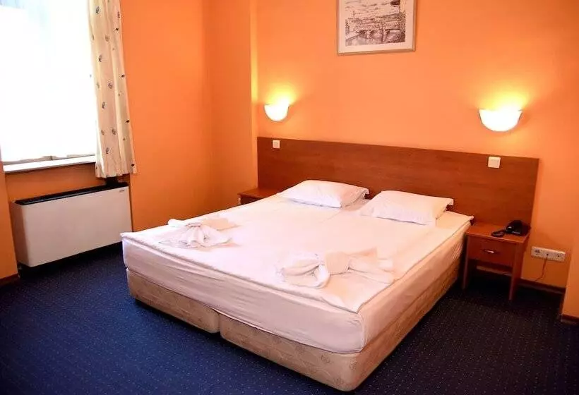 Fotos del hotel Sveta Sofia:  14