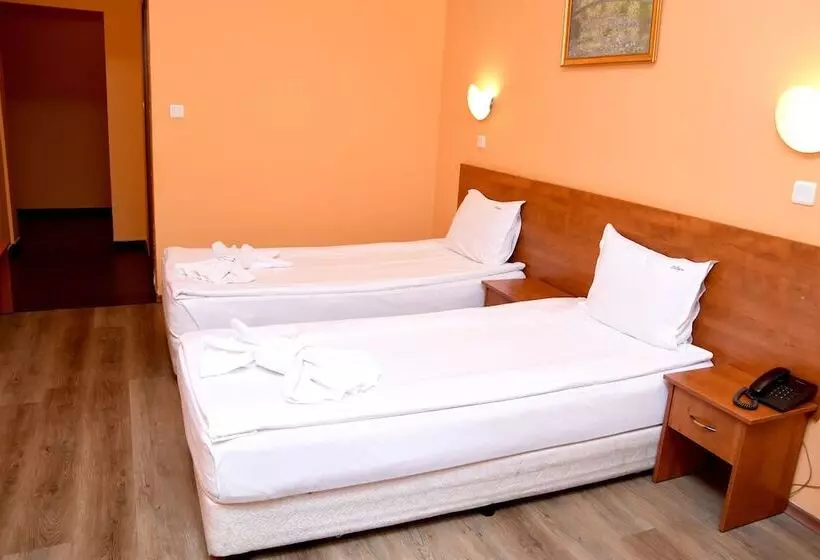 Fotos del hotel Sveta Sofia:  15