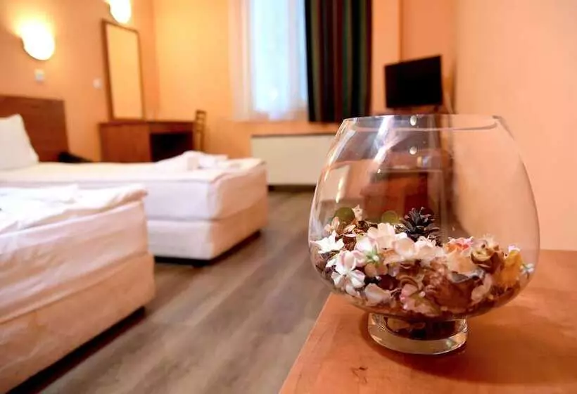 Fotos del hotel Sveta Sofia:  17