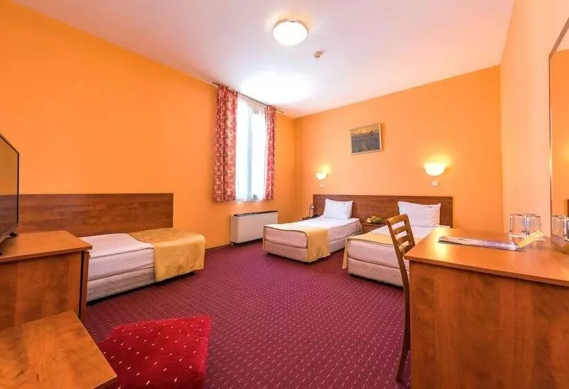 Fotos del hotel Sveta Sofia:  10