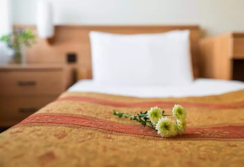 Fotos del hotel Best Baltic Kaunas:  24