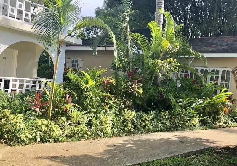 Fotos del hotel Coral Seas Garden Resort:  21