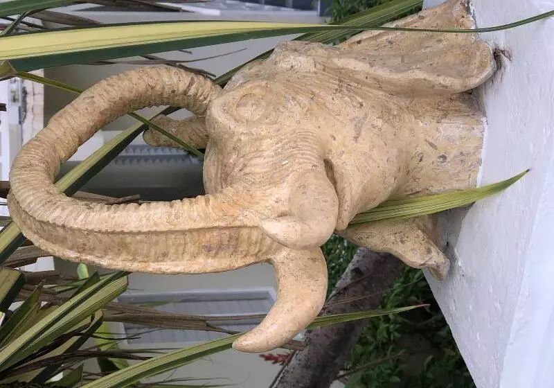 Fotos del hotel Coral Seas Garden Resort:  5