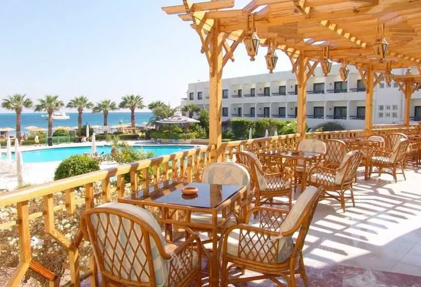 Fotos del hotel Sea Shell:  4