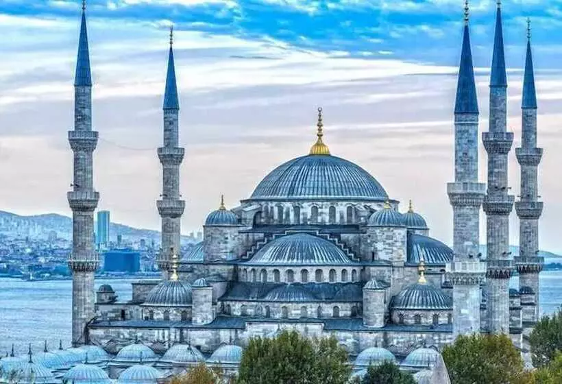 Fotos del hotel Armagrandi Spina Hotel-special Category:  3