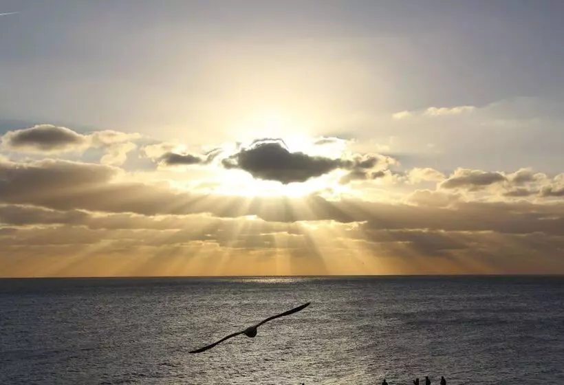 Fotos del hotel Drakes:  16