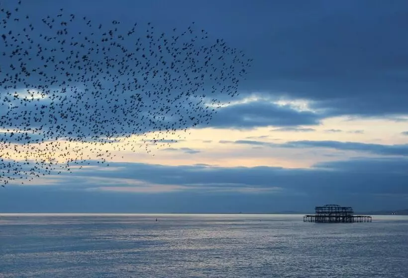 Fotos del hotel Drakes:  24