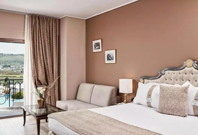 Fotos del hotel Epirus Palace Congress & Spa:  22