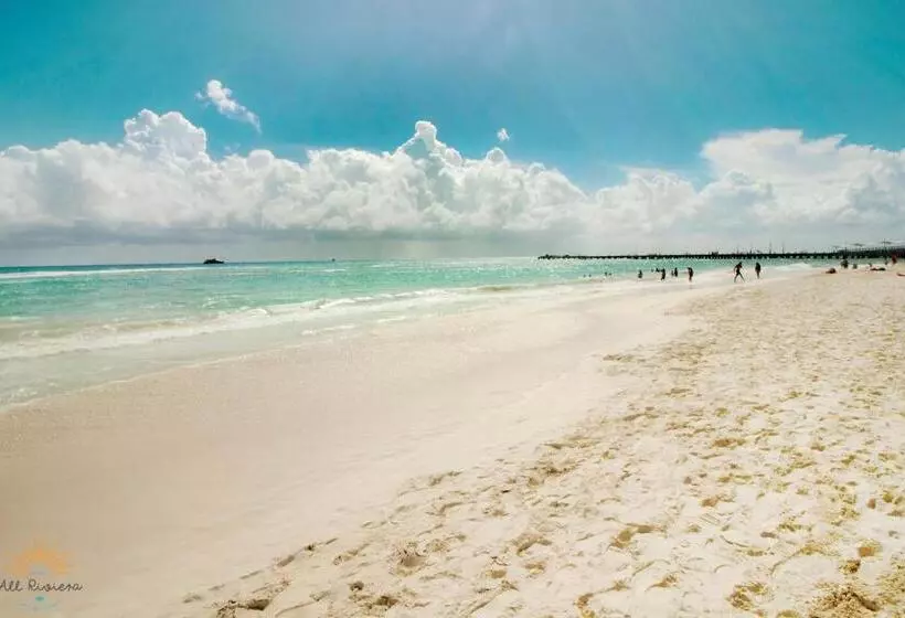 Fotos del hotel All Riviera:  14