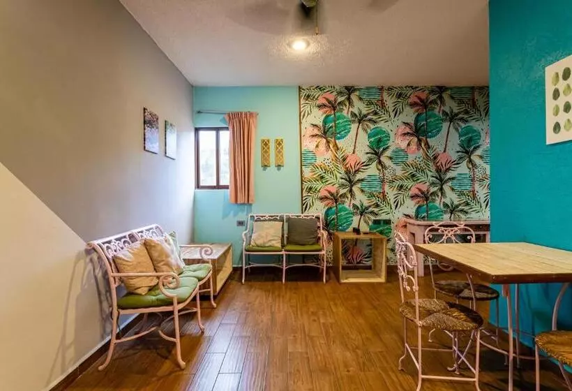 Fotos del hotel All Riviera:  4