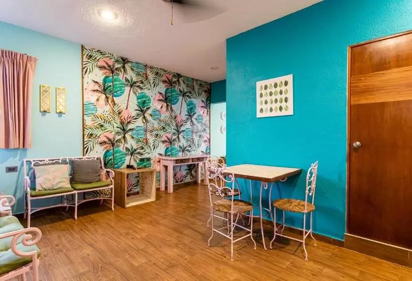 Fotos del hotel All Riviera:  6