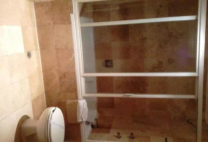 Fotos del hotel Sevilla:  21