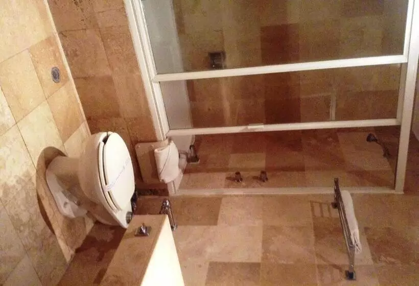 Fotos del hotel Sevilla:  8