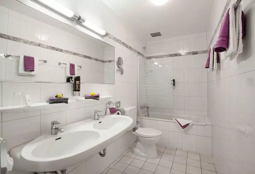 Fotos del hotel Best Western Ambassador:  5