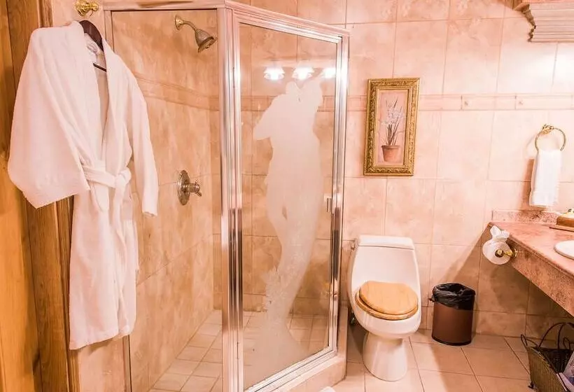 Fotos del hotel Business  & Suites María Bonita:  17