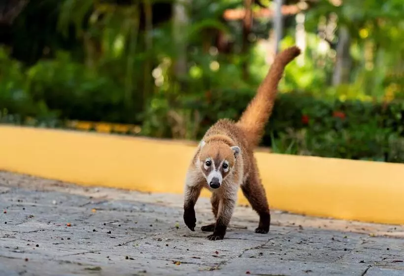 Fotos del hotel Hacienda Xcanatun By Angsana:  6
