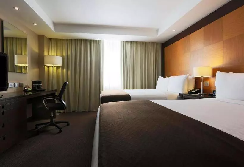 Fotos del hotel Krystal Urban Aeropuerto Ciudad De Mexico:  3