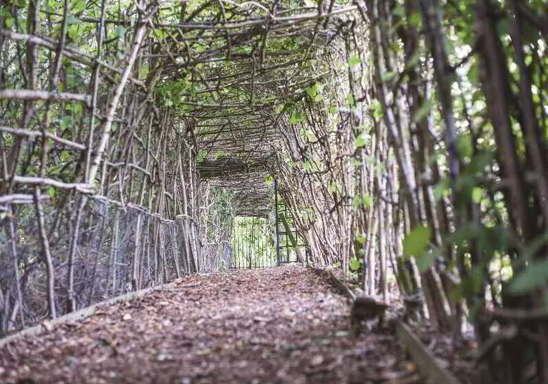 Fotos del hotel Thorpe Park Hotel And Spa:  7