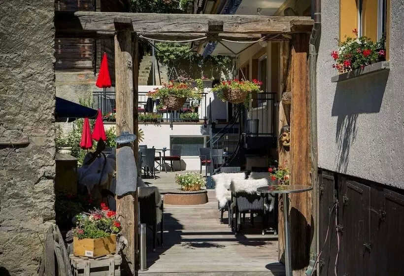 Fotos del hotel Excelsior:  9