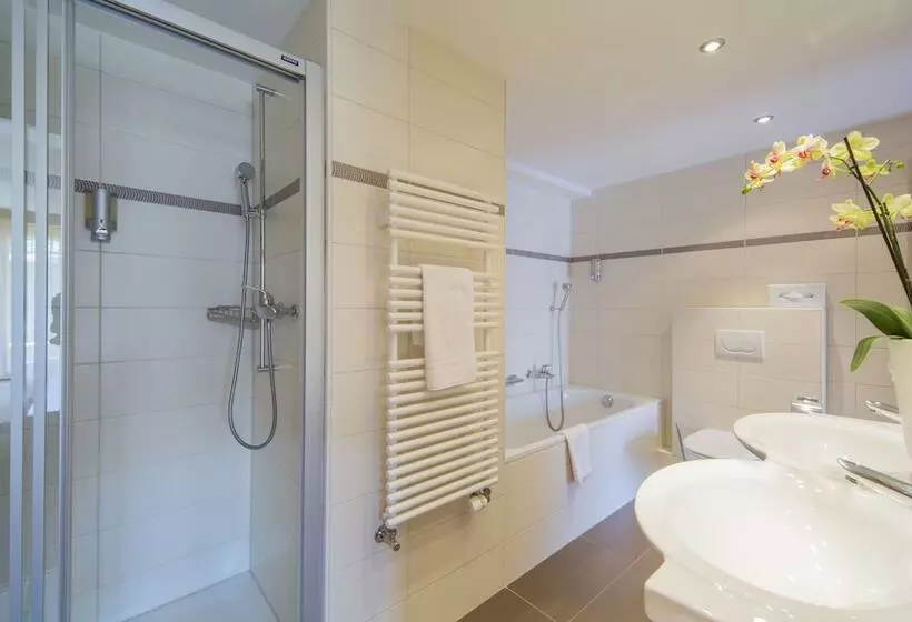 Fotos del hotel Excelsior:  5