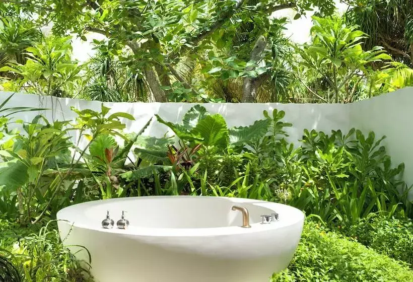 Fotos del hotel Fairmont Maldives Sirru Fen Fushi:  17