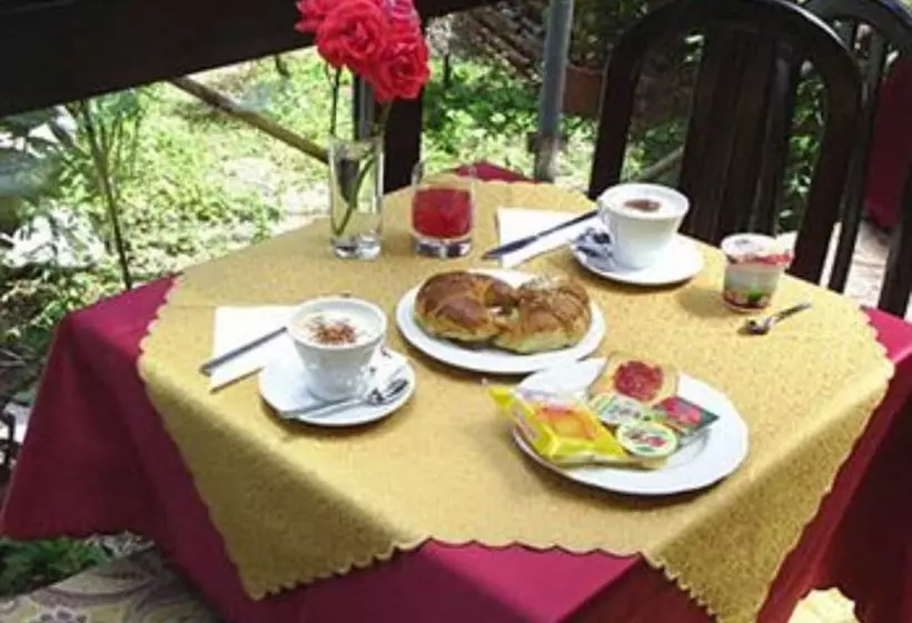 Fotos del hotel Adler:  8