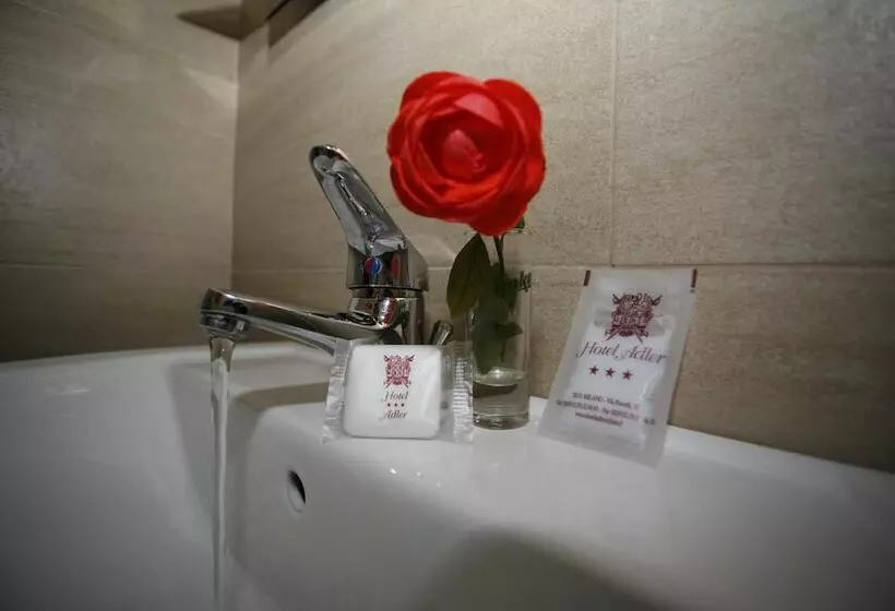 Fotos del hotel Adler:  12