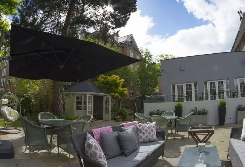 Fotos del hotel The Orchid:  6