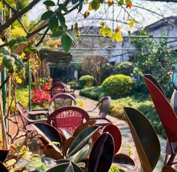 Fotos del hotel Jin Yu Sunshine:  23