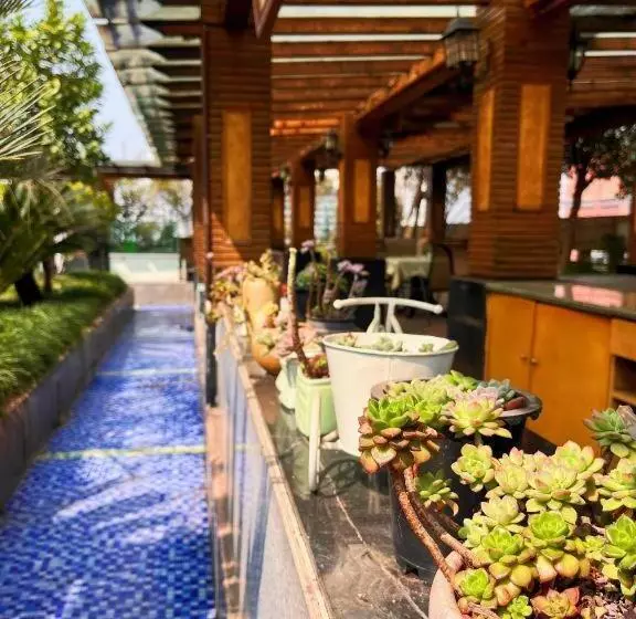 Fotos del hotel Jin Yu Sunshine:  20