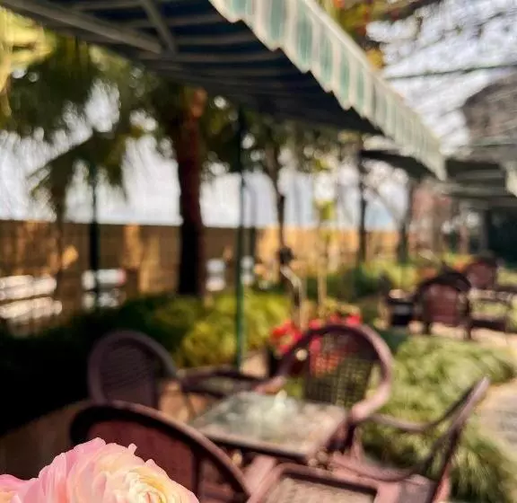 Fotos del hotel Jin Yu Sunshine:  14