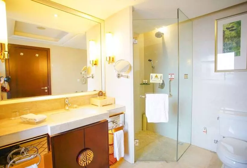 Fotos del hotel Grand Soluxe  Xi An:  8