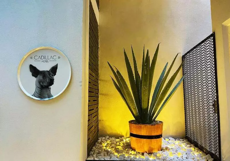 Fotos del hotel Cadillac Hotel Boutique:  22
