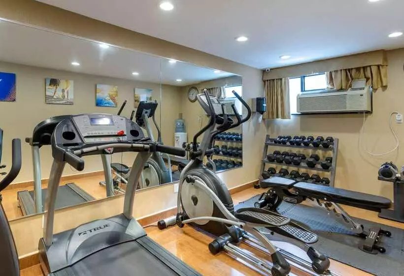 Fotos del hotel Comfort Inn Brooklyn:  12