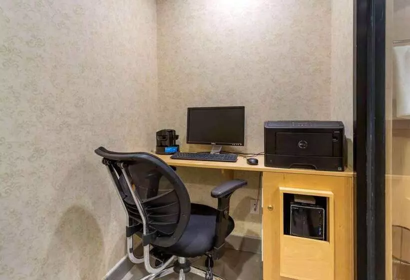 Fotos del hotel Comfort Inn Brooklyn:  25