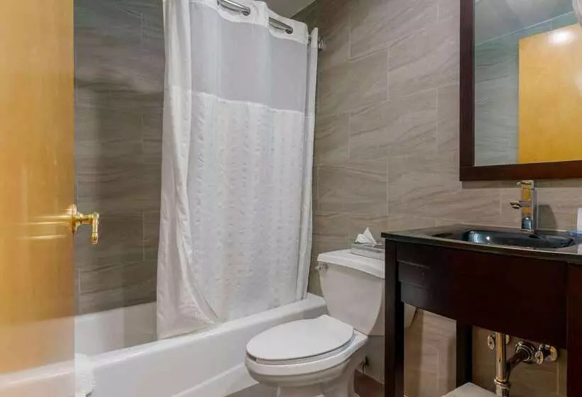 Fotos del hotel Comfort Inn Brooklyn:  14