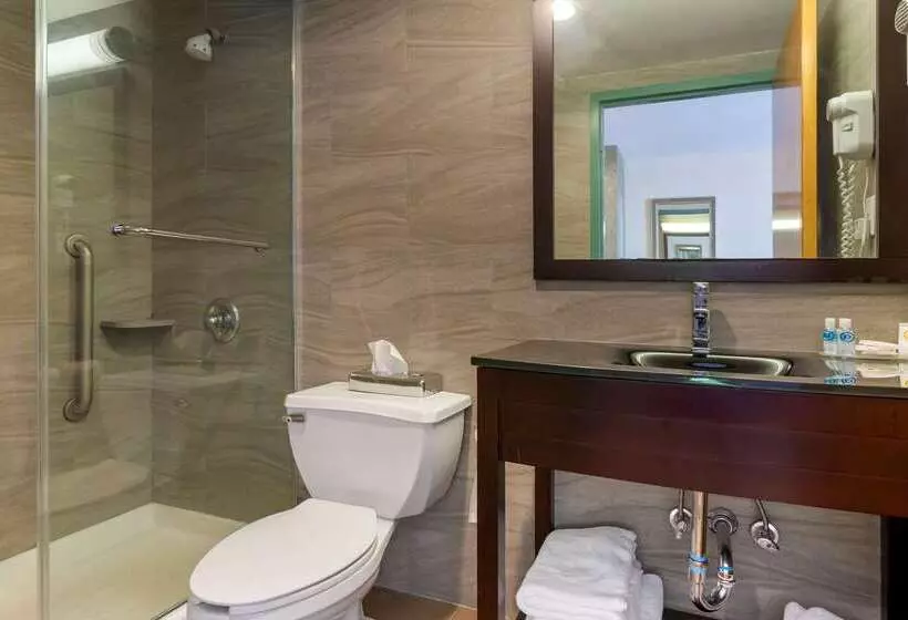 Fotos del hotel Comfort Inn Brooklyn:  18