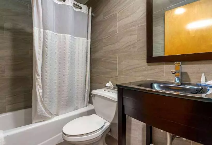 Fotos del hotel Comfort Inn Brooklyn:  7