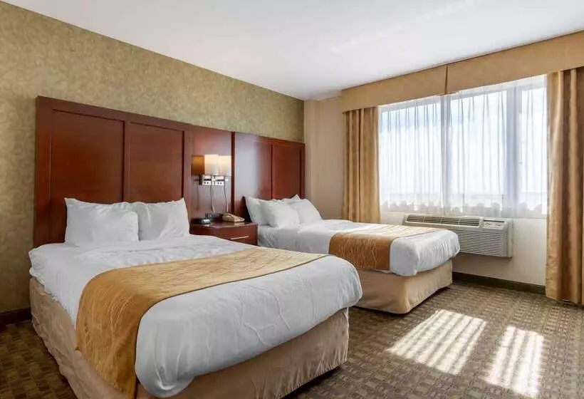 Fotos del hotel Comfort Inn Brooklyn:  9