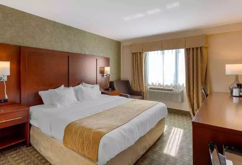 Fotos del hotel Comfort Inn Brooklyn:  15