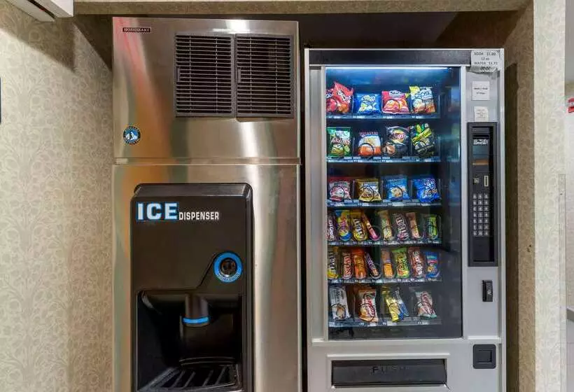 Fotos del hotel Comfort Inn Brooklyn:  5