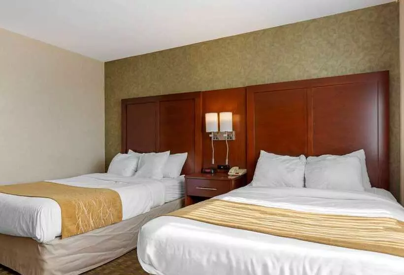 Fotos del hotel Comfort Inn Brooklyn:  22